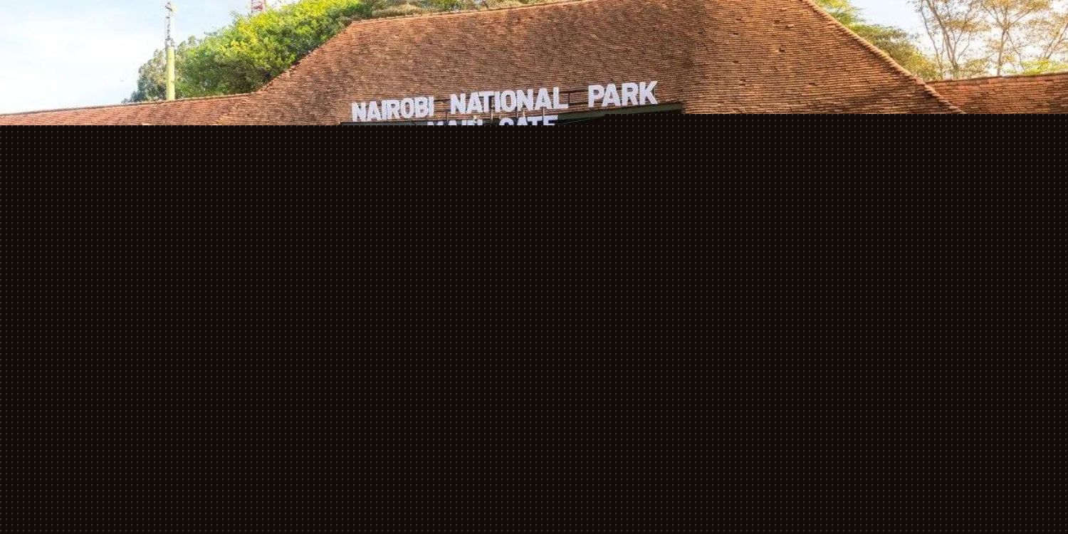 Kenya Offers Free Entry to National Parks on World Tourism Day