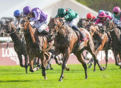 Daryz, Calandagan and the Thursday Evenings Bringing French Racing to Life