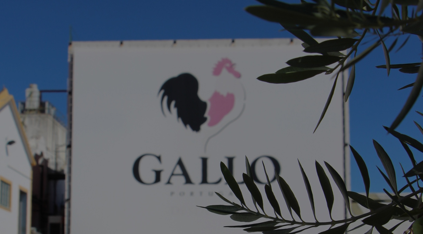 Ora, pois: marca portuguesa Gallo quer fábrica para envasar azeite no ES