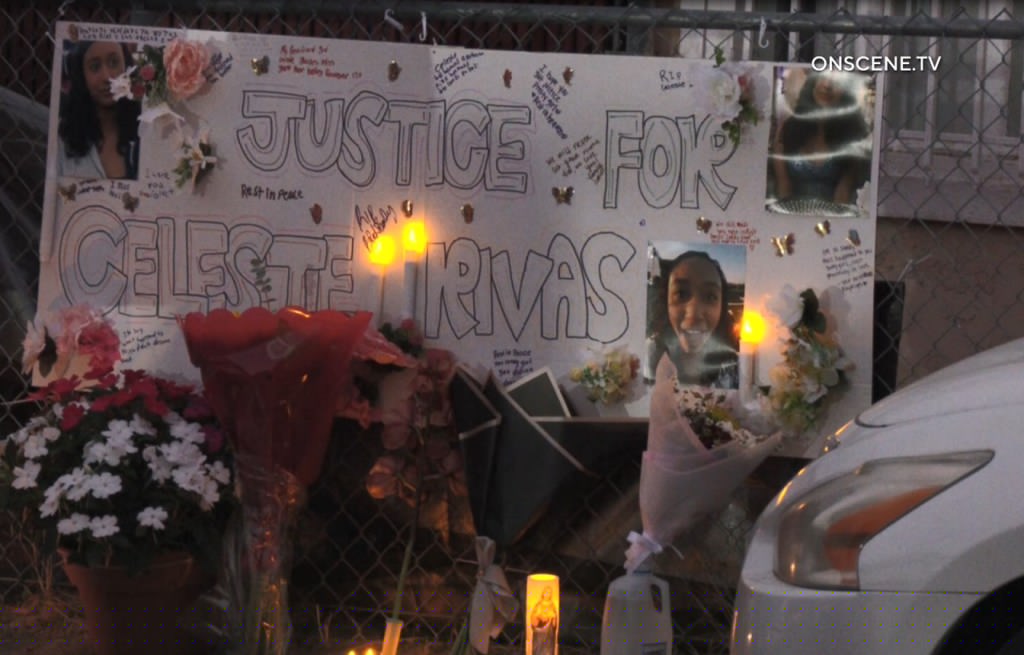 Lake Elsinore girl likely dead for weeks before she was found in D4vd’s trunk