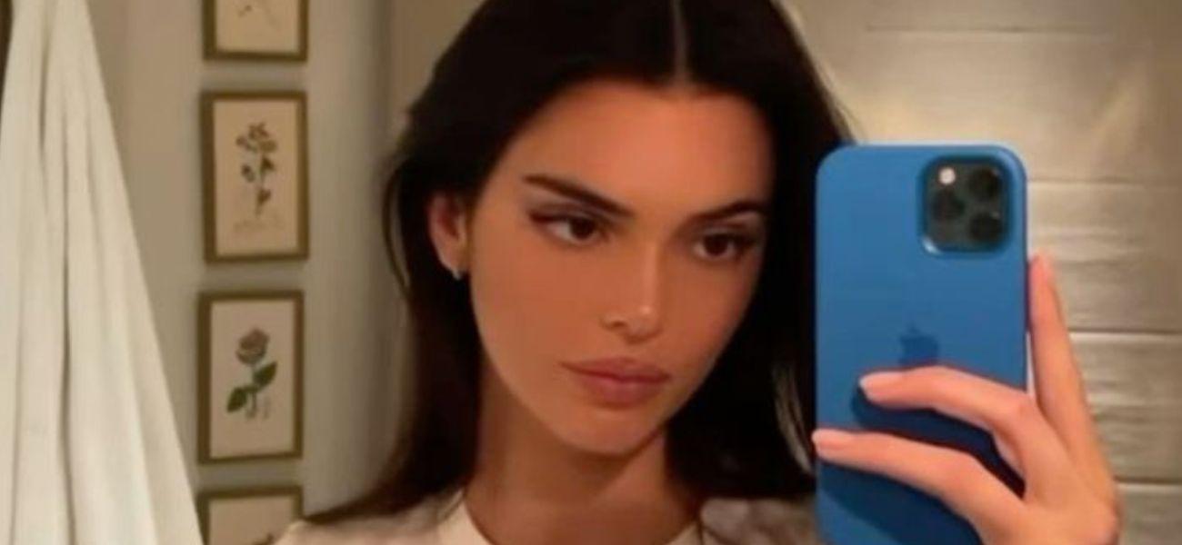 Kendall Jenner Turns Heads In Leather Corset And Fishnets
