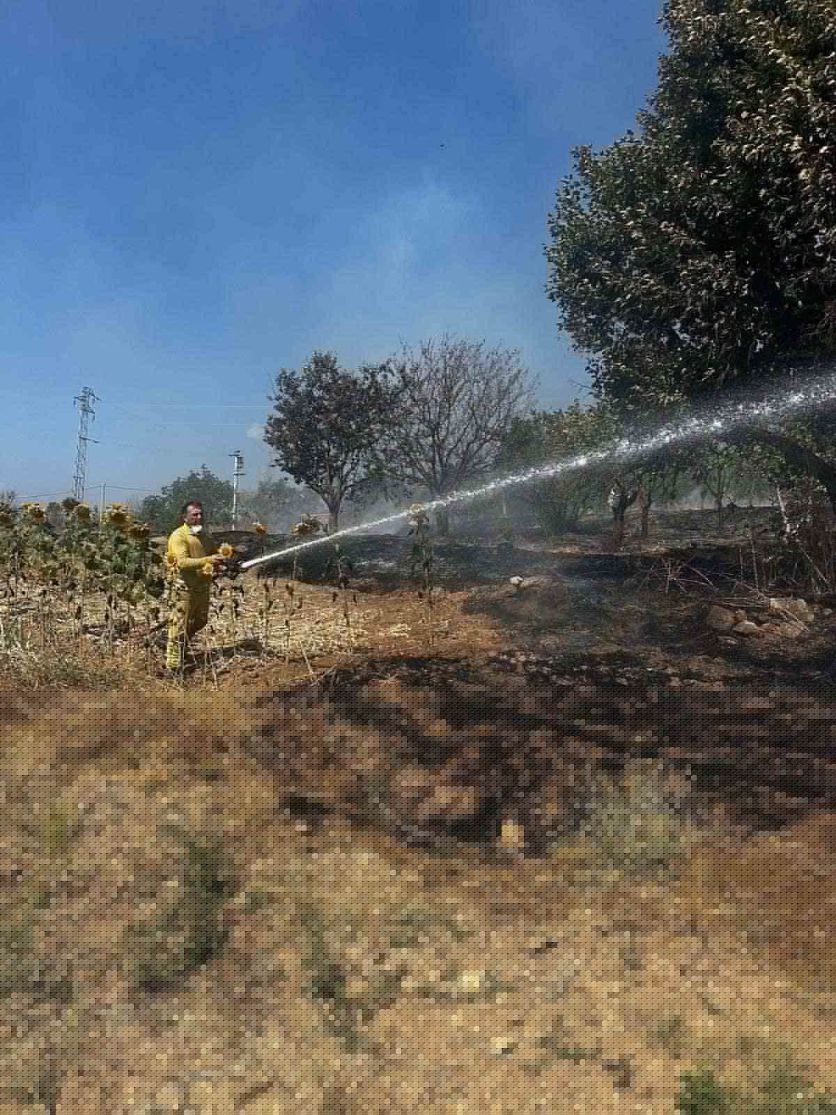 Bilecik'te Ot Yangını Panik Yarattı