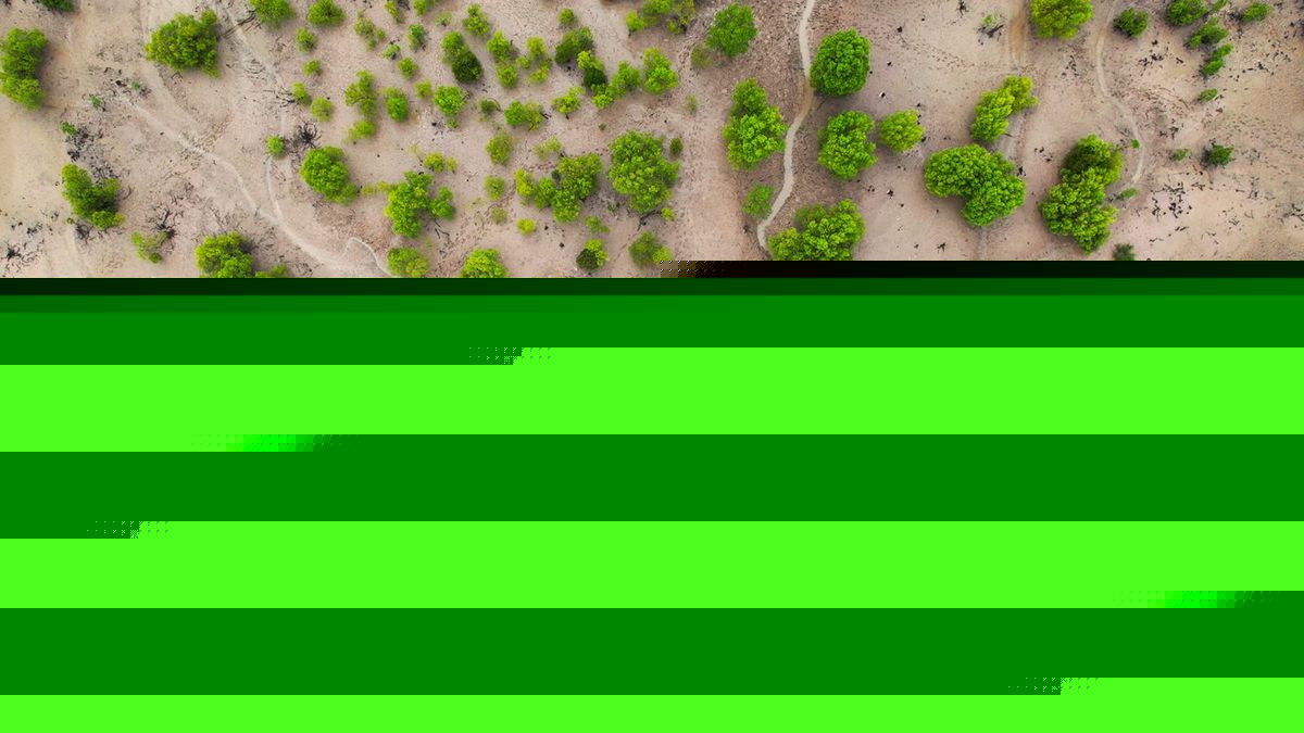 We’re losing nature’s best flood defense — can we fix that?