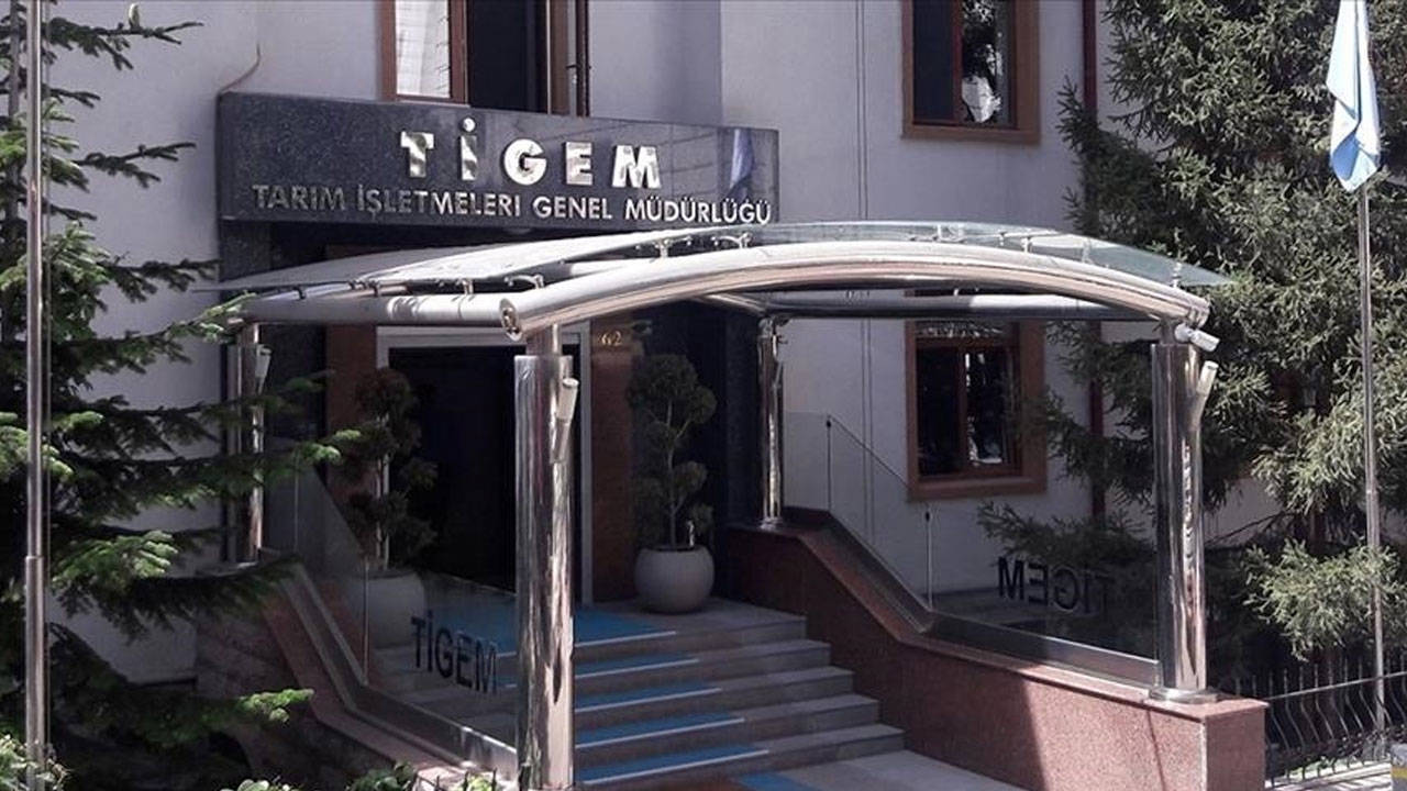 TİGEM'den bitkisel üretim ve hayvancılık işçiliği hizmeti için ihale