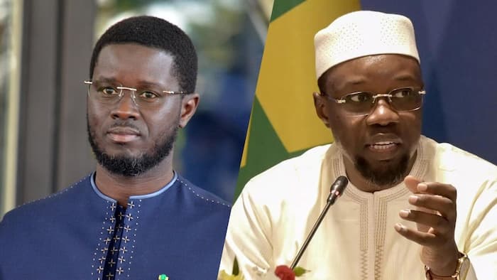 Sonko à Linguère : « C’est ce même système qui est au palais et qui continue de s’organiser »