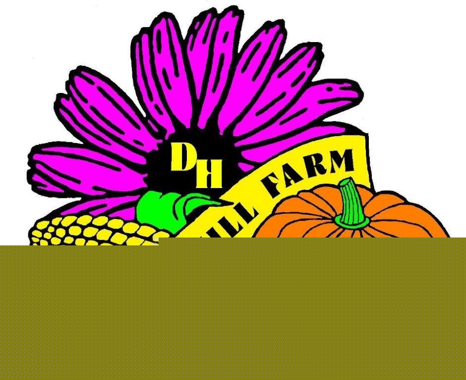 Dusty Hill Farms Owner Bringing Veggies to the Iowa State Fair