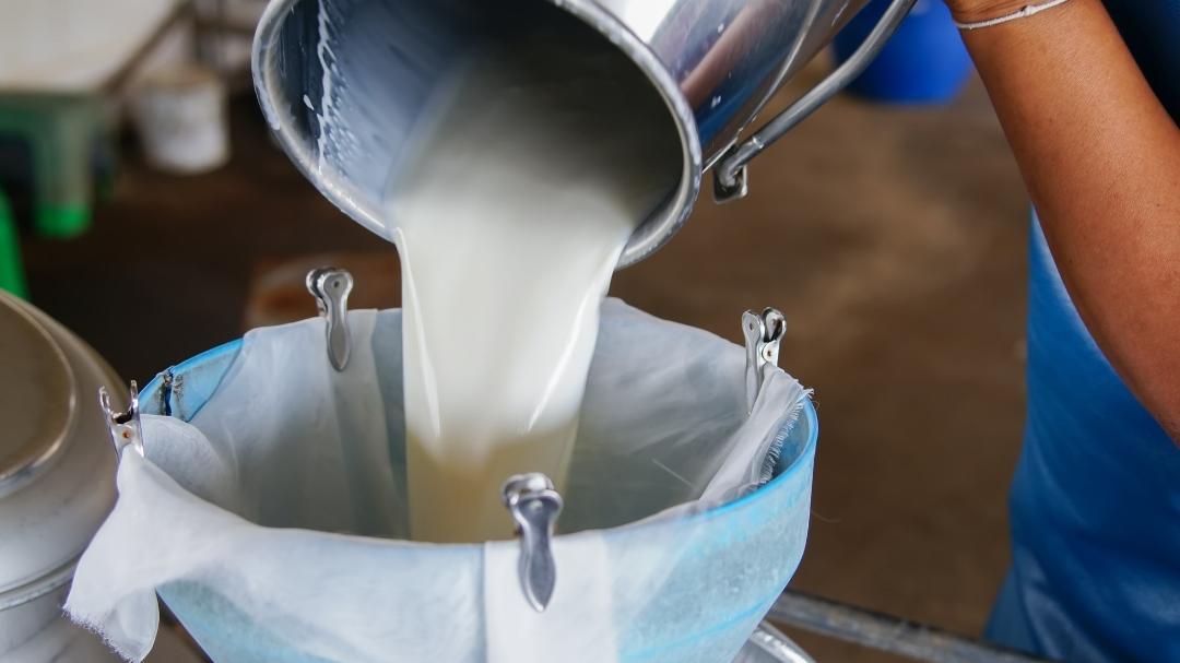 Milk price to rise by Rs 2 in Maharashtra from August 11; No MSP proposal for dairy farmers