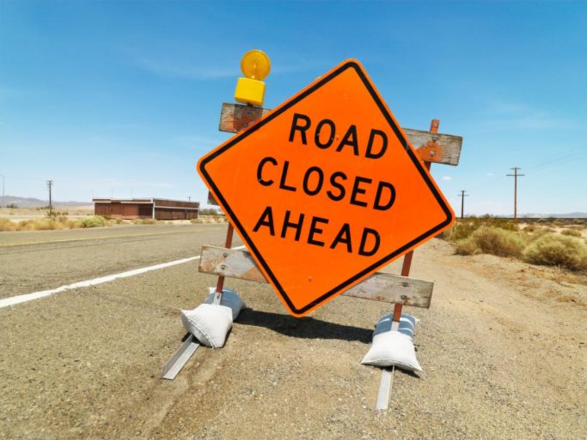 Snake Road Closes For Two Months To Protect Migrating Wildlife