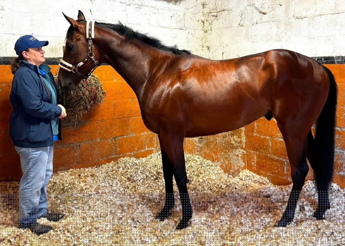 Atalanta, Then Sun Chariot For Improving Kon Tiki