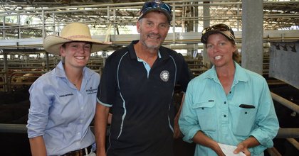 Wangaratta cattle market defies 'tough conditions' as local buyers dig deep