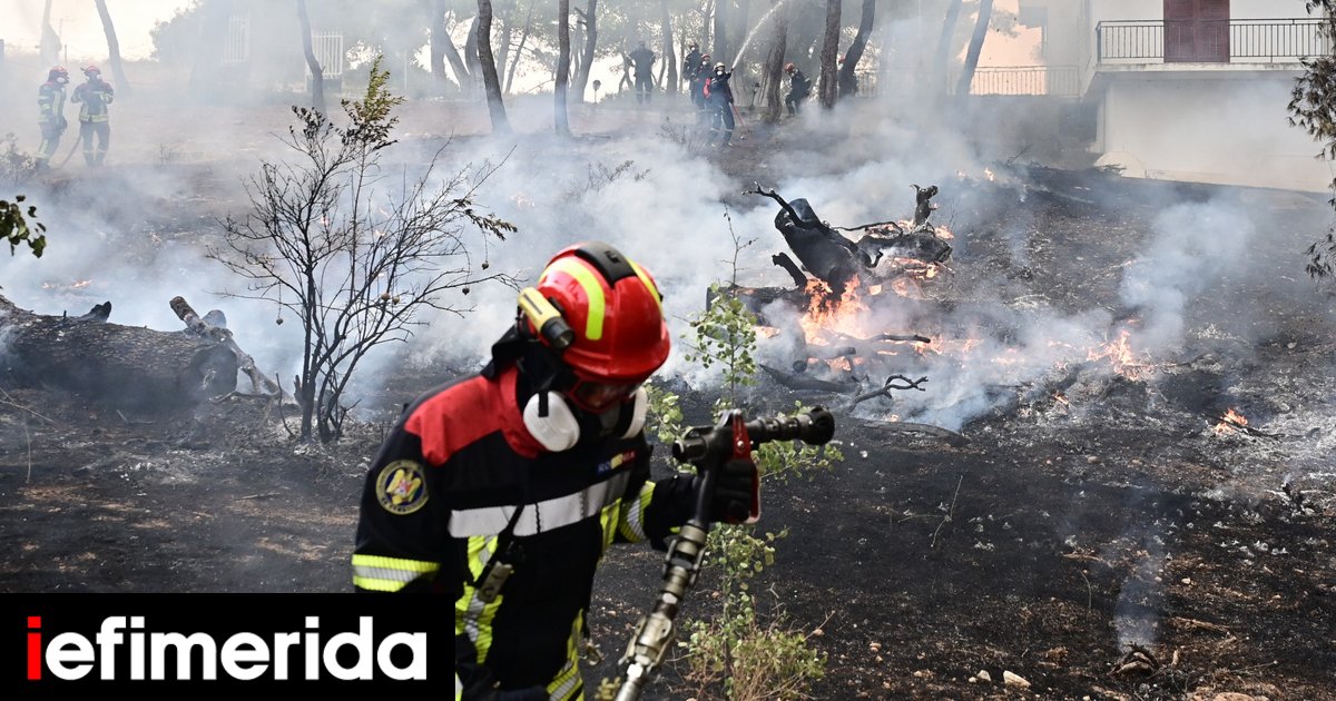 Η Δυτική Αττική έχασε το 64% από τα δάση της σε 10 χρόνια -Οι αριθμοί της καταστροφής
