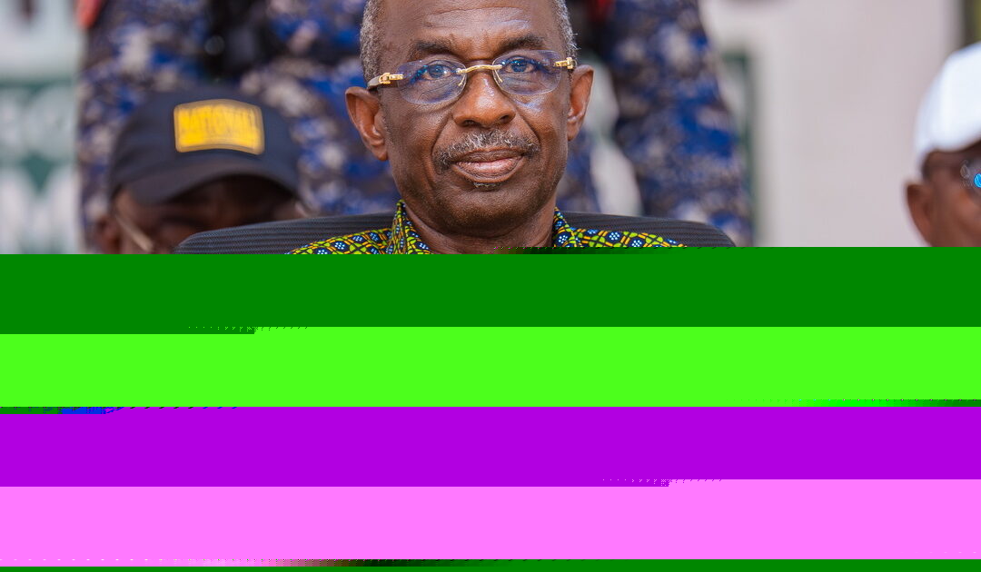 Asiedu Nketia urges stronger investment in research to drive Ghana’s economic transformation