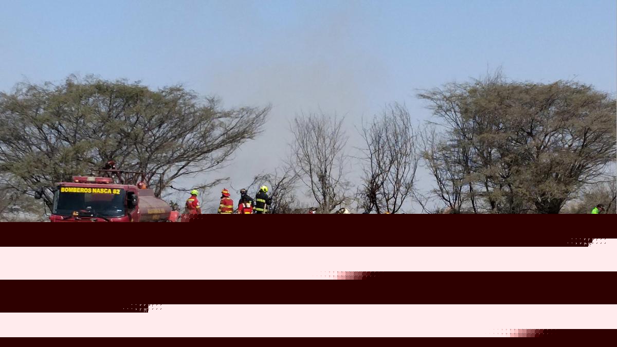 Tourist plane crashes in Peru, killing 13