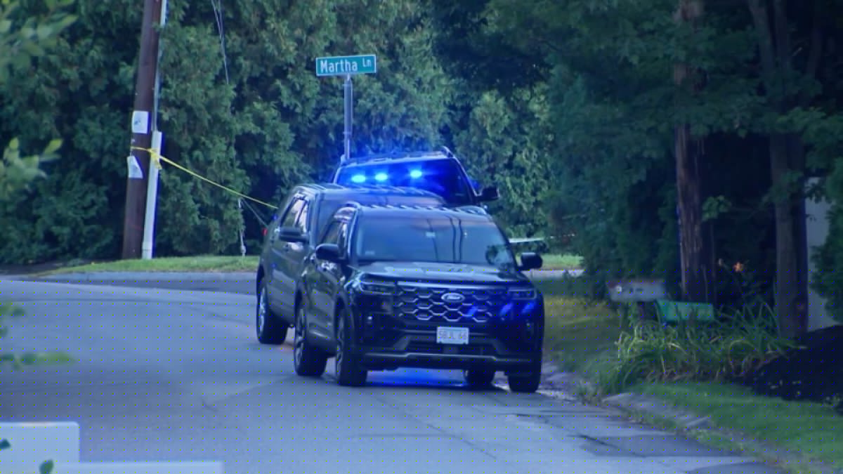 Car found amid search for teen after 2 relatives discovered dead in Acton home