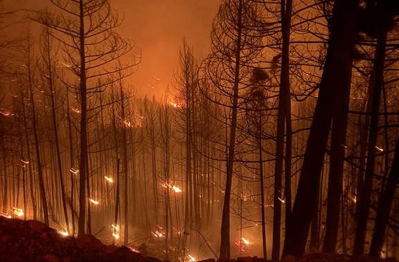 B.C. to provide wildfire and drought update as more than 100 fires burn