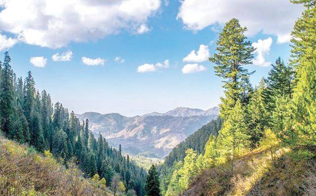 Galiyat turns white and green welcoming tourists for I-Day celebrations