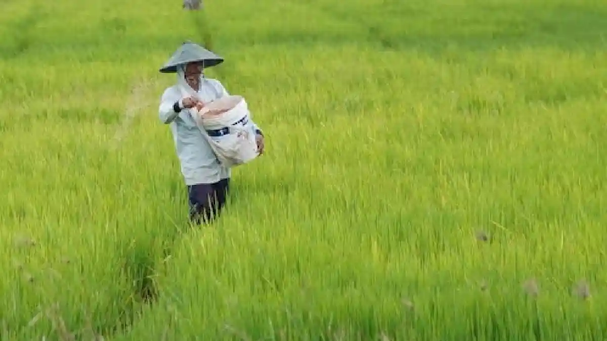 73 Ribu Hektare Sawah Masih Berstatus Kawasan Hutan, Pemerintah Bentuk Tim Agraria