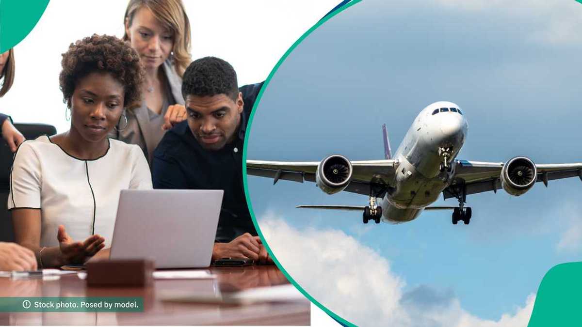 Find out more as US unveils new visa rules, 5 mistakes lead to automatic rejection