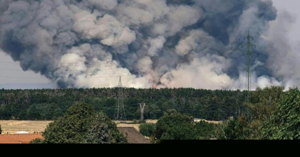 Forscher: "Waldbrände sind ein Ausdruck des Klimawandels"