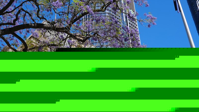 Queensland parliament updates: Education, arts, women and child safety up at budget estimates