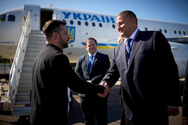 Former Ukrainian top commander sees no prospect of Kyiv joining NATO