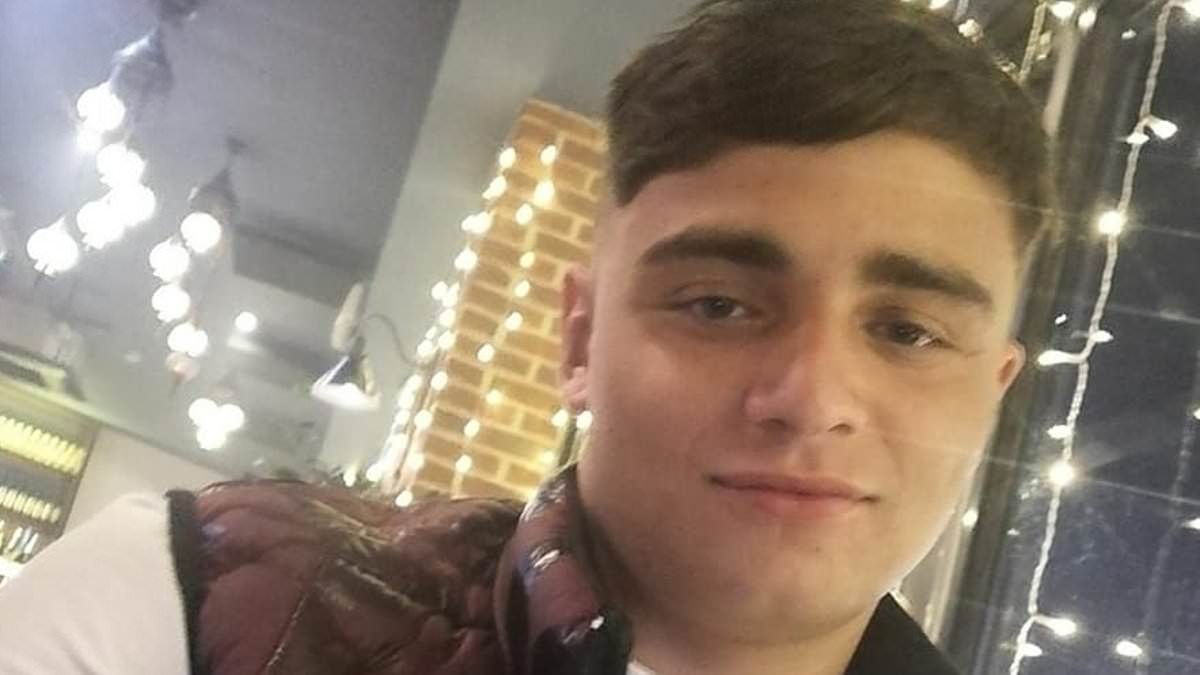 Thug who beat his girlfriend so bad she lost her unborn child is jailed - and was seen smiling as he was led to the cells