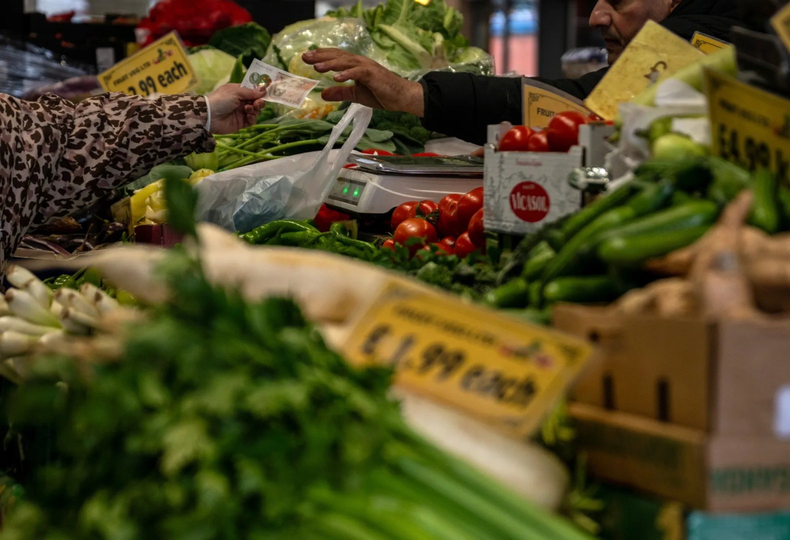 Seasonal supply pushes down prices for key food products in Kazakhstan