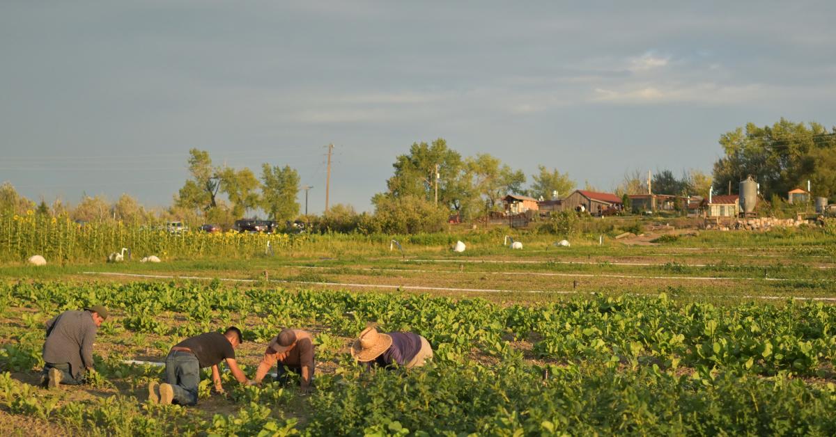What's next for the farm bill?