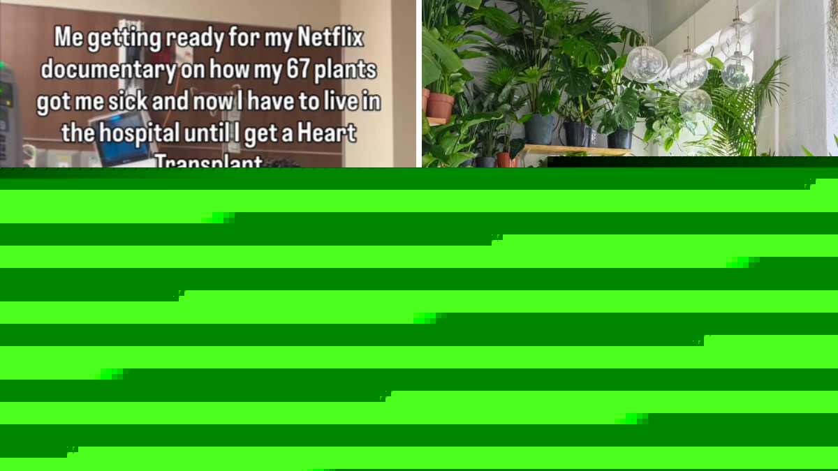 A man joked he was filming his own true crime documentary from a hospital bed, then claimed his 67 houseplants put him there