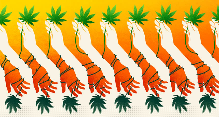 Comment on Legalization trend forces review of marijuana’s dangers by AI & Social Media: Detecting Health Side Effects - World Today Journal