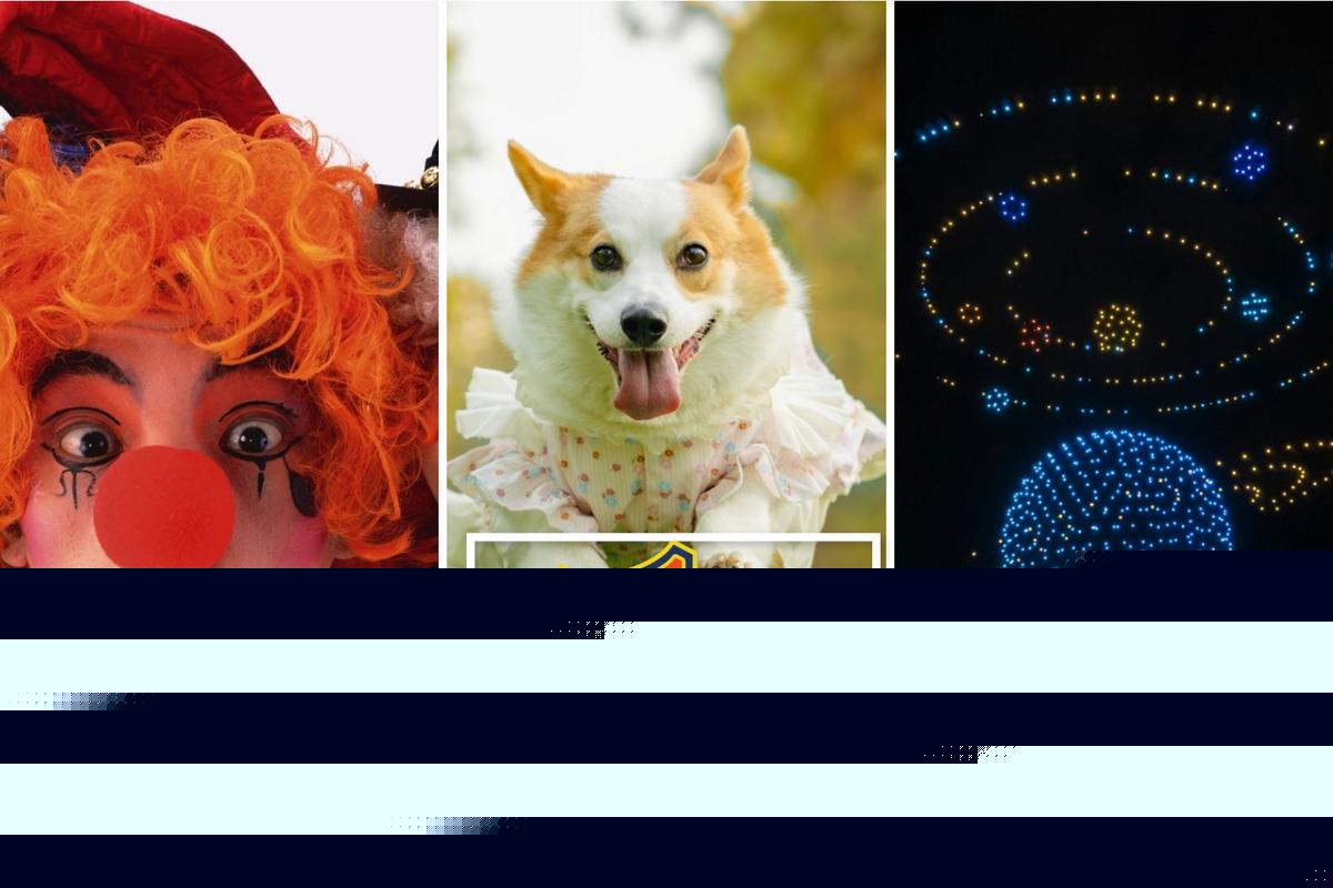New York State Fair Adds Adorable and Amazing New Entertainment