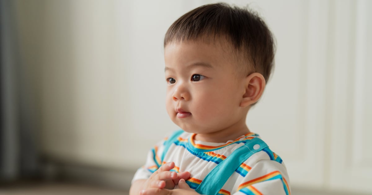 Precision synbiotic outperforms probiotics alone for toddler gut-immune health