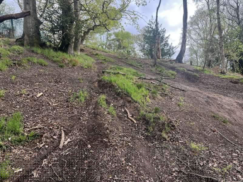 Claims bike riders are destroying a south Warwickshire glow-worm habitat