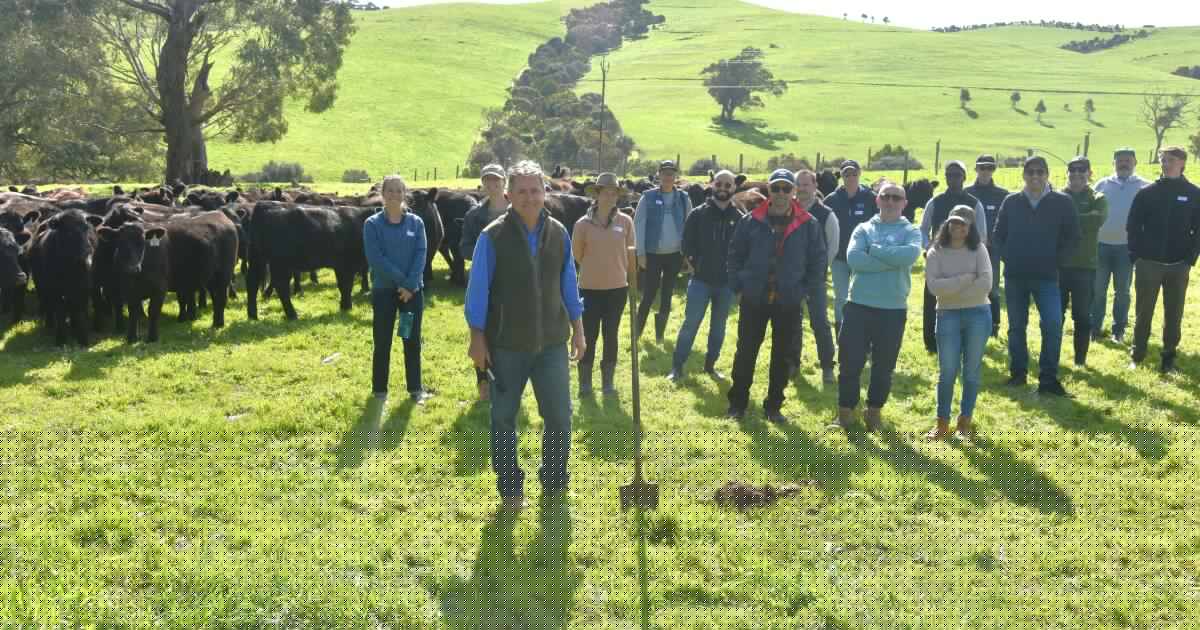 Regenerative farming powering production on Fleurieu Peninsula property