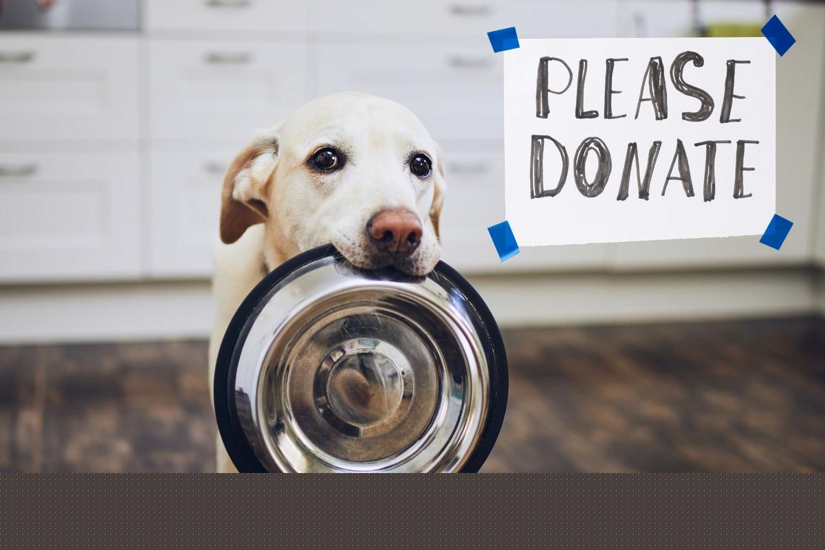Now Is Your Chance To Help Feed Animals In Dutchess County