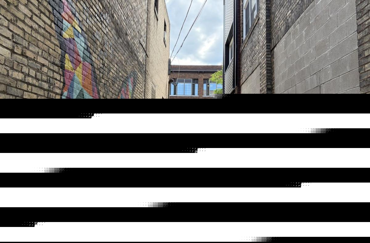 The Alley Behind Books Revisited Is About To Become An Art Destination