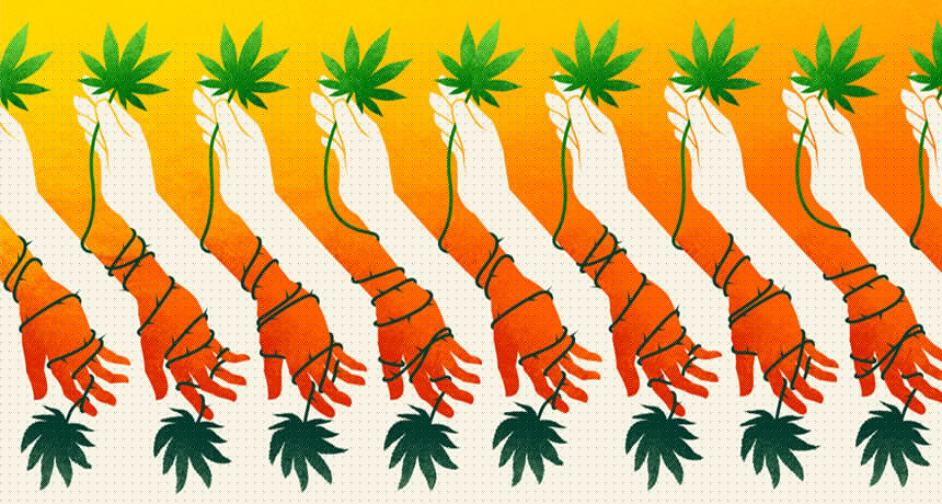Comment on Legalization trend forces review of marijuana’s dangers by Can AI spot harmful health side effects on social media? - America Latina News