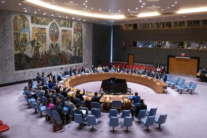 Syria Chemical Weapons Concerns Widen with New Evidence, United Nations Disarmament Chief Tells Security Council