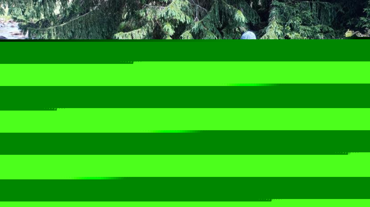 Projekt DeepBEAT: ČGS a partneři zahájili vzorkování říčních sedimentů v Krušných horách