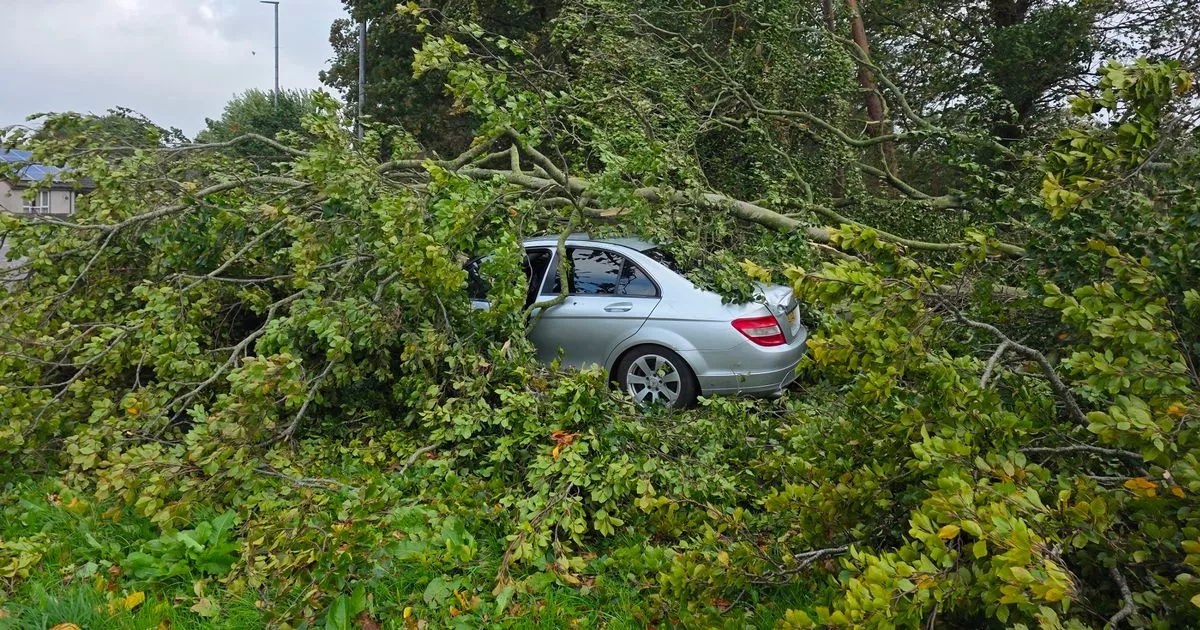 Storm Amy in pictures as fierce 100mph winds spark chaos across UK leaving one dead