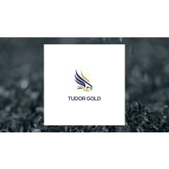 Tudor Gold (CVE:TUD) Hits New 12-Month High  – Still a Buy?
