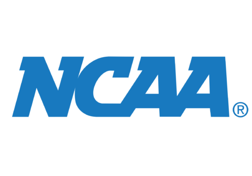 Suspend ongoing industrial action, NCAA urges unions