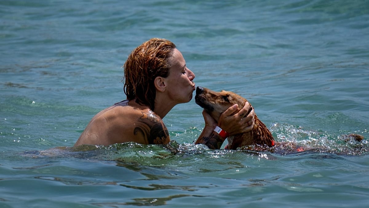 Spanien 2026: Neue Karte zeigt, wo Sie mit Ihrem Hund baden können