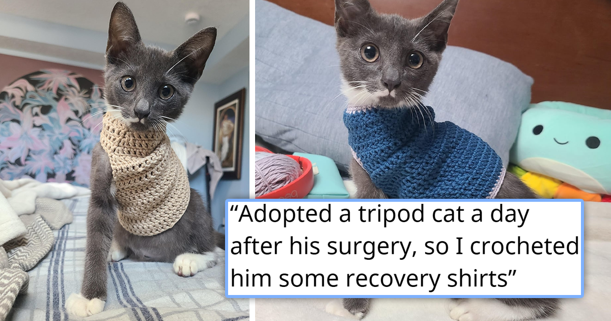 Person crocheted adorable sweaters for their newly adopted three-legged kitten to keep him warm a day after his operation, and he doesn't let being a tripod stop him from jumping around and living his best life