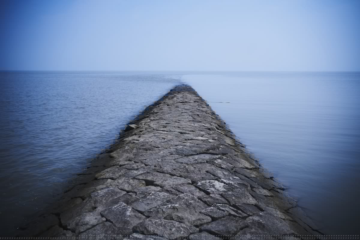 NOAA Tool Lets You See Local Sea Level Rise Projections By Addres