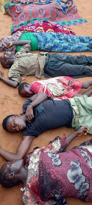 “30 Butchered in Naridon”: Steven Kefas Laments Insecurity in Southern Kaduna, Accuses Authorities of Lack of Political Will