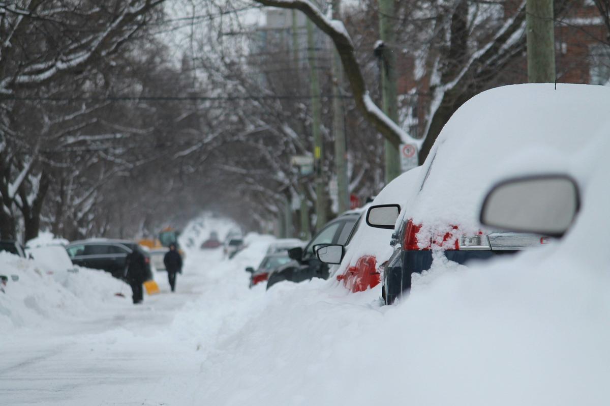 15 Telling Signs Idaho Could Be in For a Nasty Winter in 2025