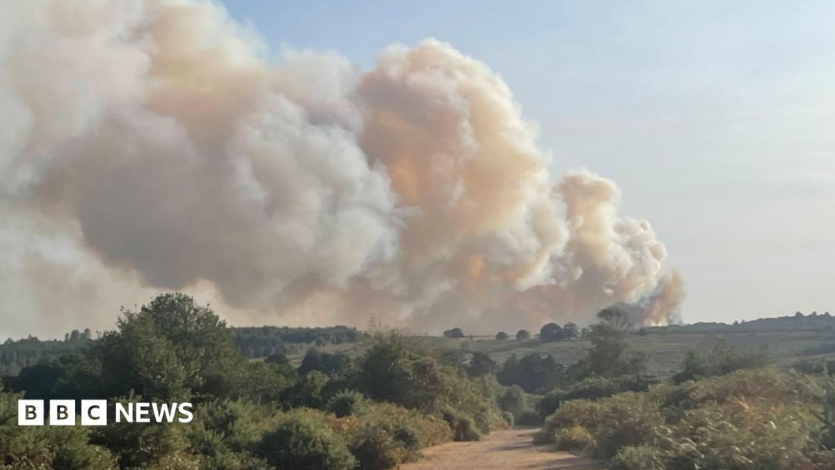 Vehicle fire spreads to heathland as crews fight blaze