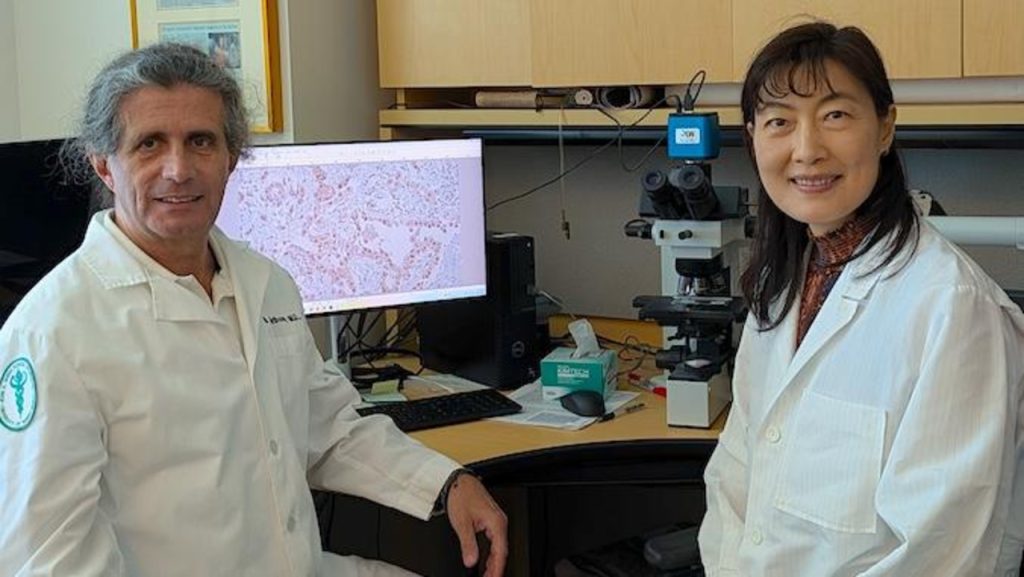 UH Cancer Center identifies treatable form of mesothelioma