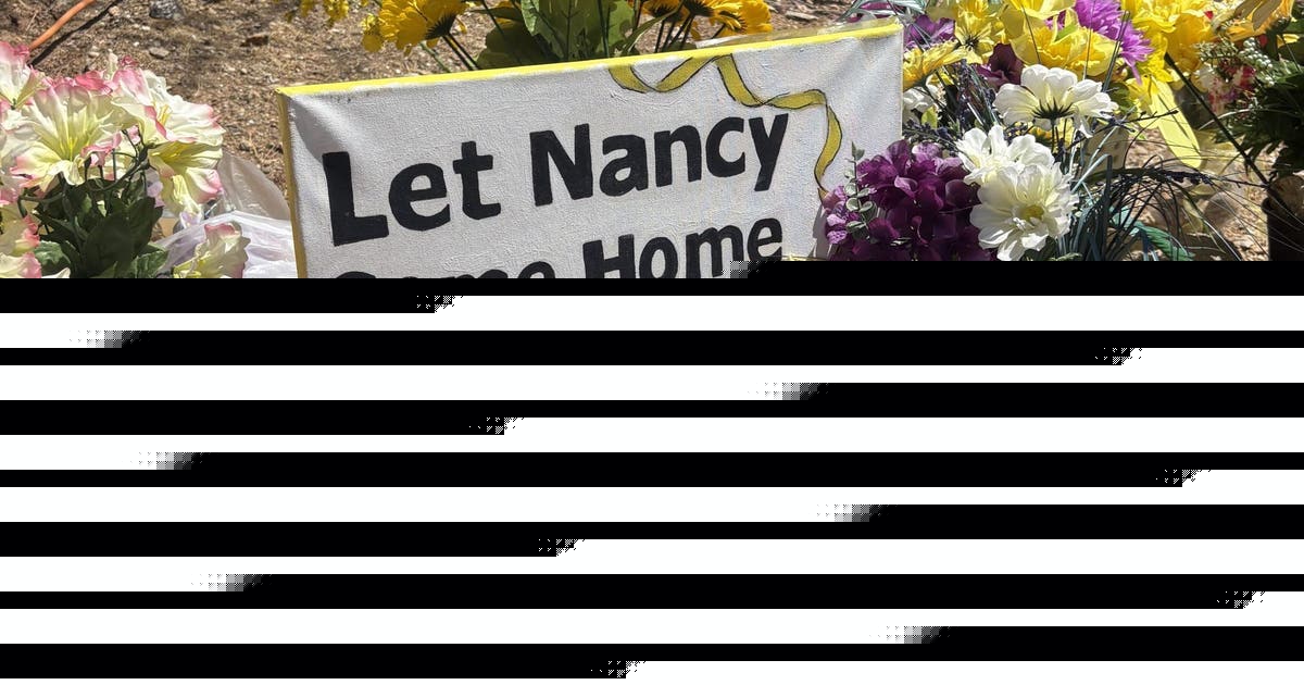Nancy Guthrie: Savannah issues new plea in search of mother 6 months after disappearance